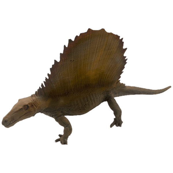 Dimetrodon - Image 3