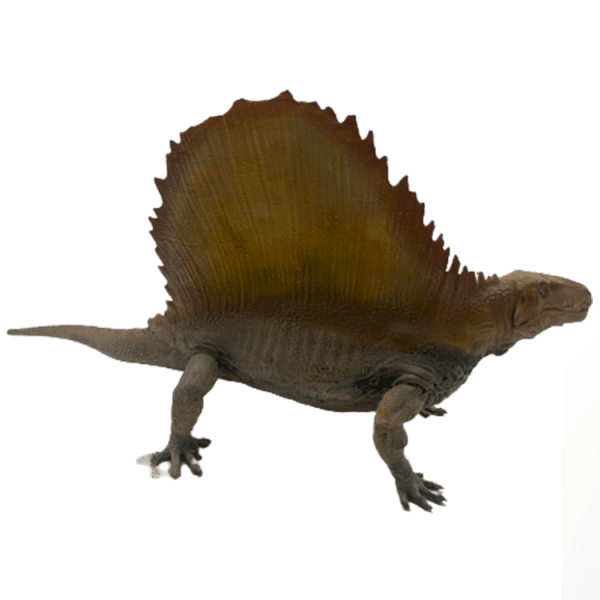 Dimetrodon - Image 2