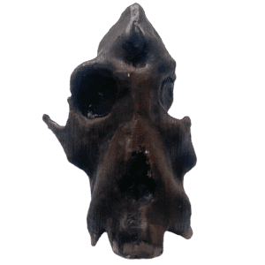 Afropithecus