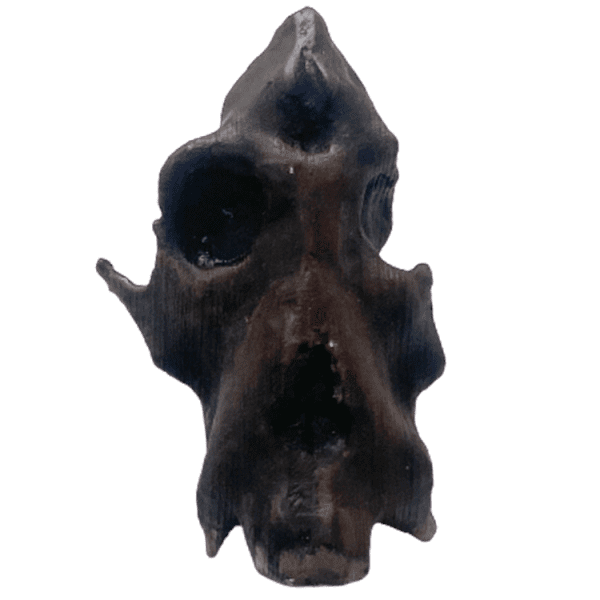 Afropithecus