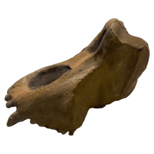 Ouranopithecus