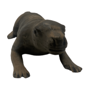 Cynodont