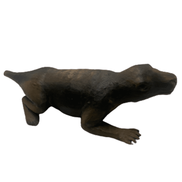 Cynodont - Image 2