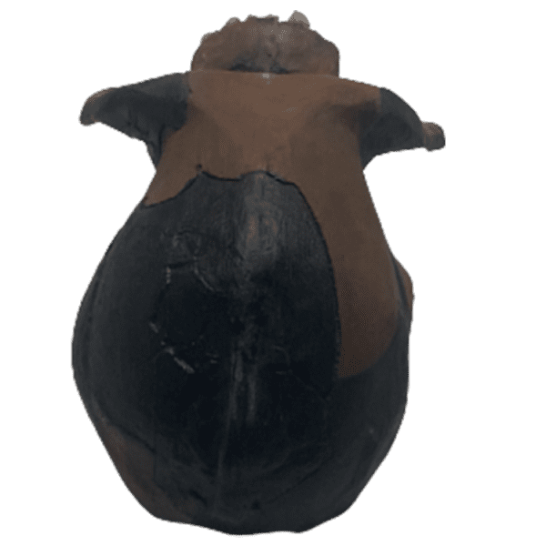 Australopithecus garhi - Image 4