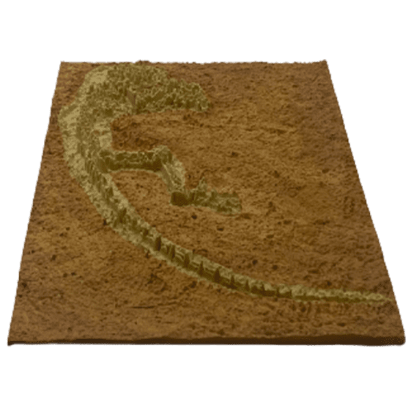 Darwinus - Image 4