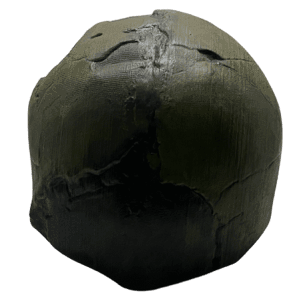 Homo sapiens idaltu - Image 2