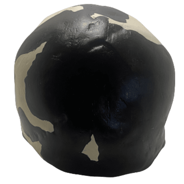 Homo sapiens (Omo) - Image 3