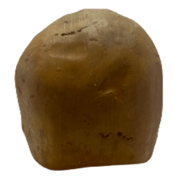 Homo sapiens (Grimaldi Man) - Image 3