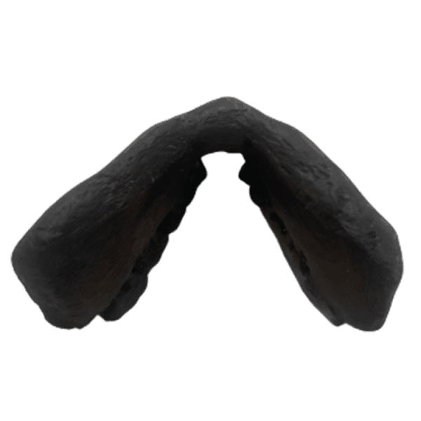 Parapithecus frassi - Image 3