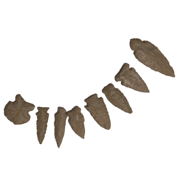 Notched Arrowhead