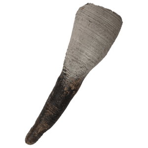 Elk tooth utility pendant