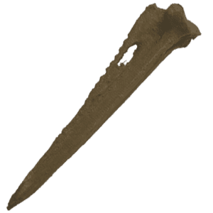 Bone Awl