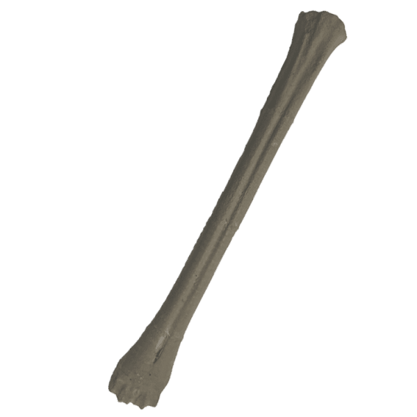 Bone Beammer