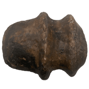 Carved axe for hafting