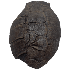 Tortoise core
