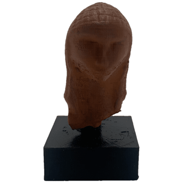 Venus of Brassempouy