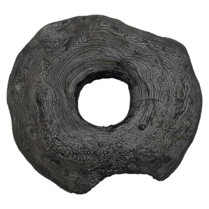Ring Stone
