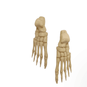 Feet