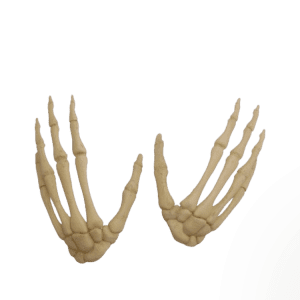 Hands