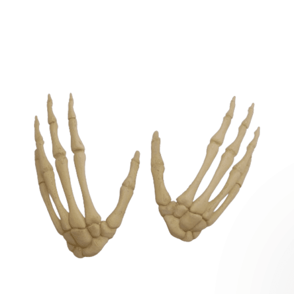 Hands