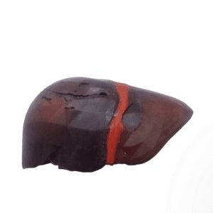 Liver