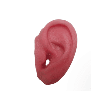 Silicon Pinnae