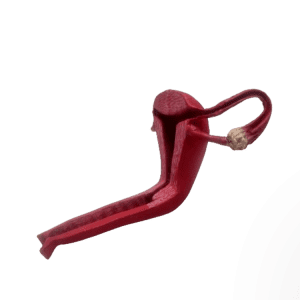 Uterus
